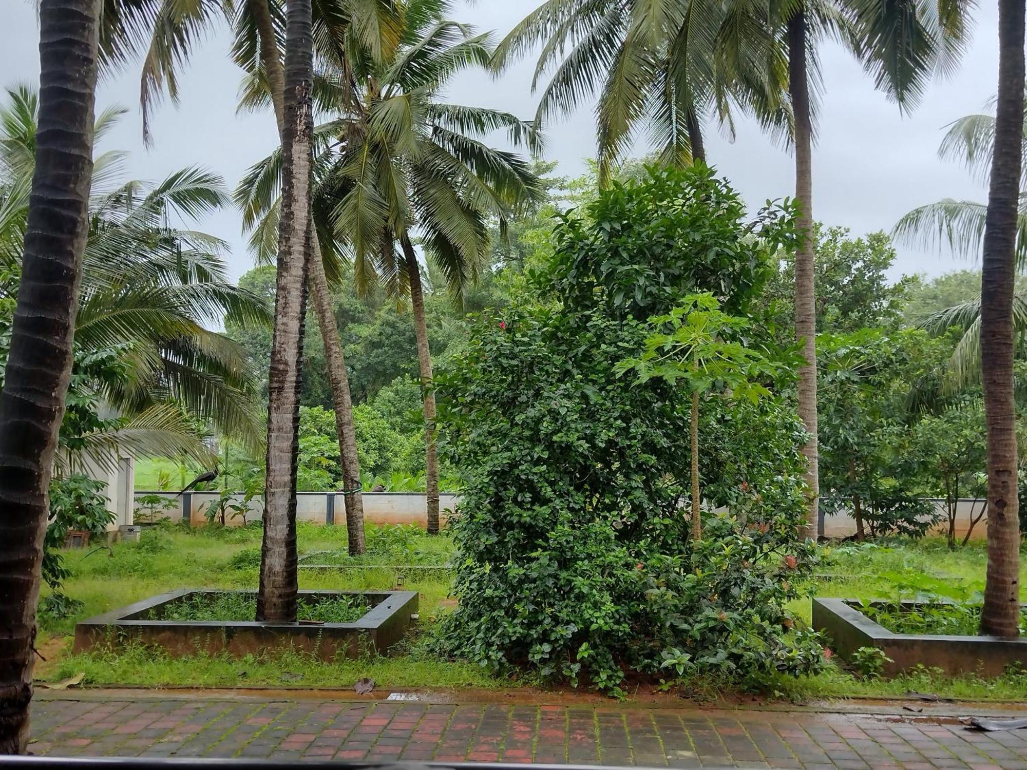 Jayadurga Farms - An Eco-Friendly Homestay Udupi Luaran gambar